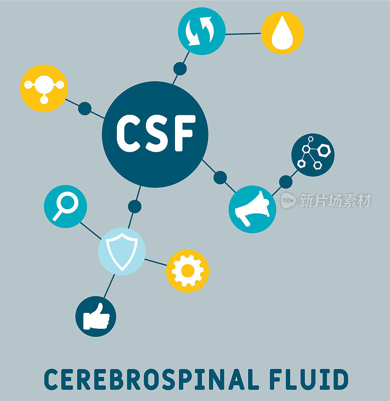 CSF -脑脊液的缩写
